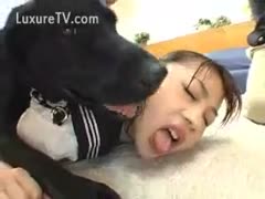 A dog's gazoo being licked by an Asian bitch